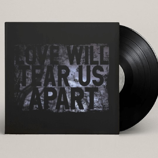 LOVE WILL TEAR US APART Custom Vinyl Record Sleeves
