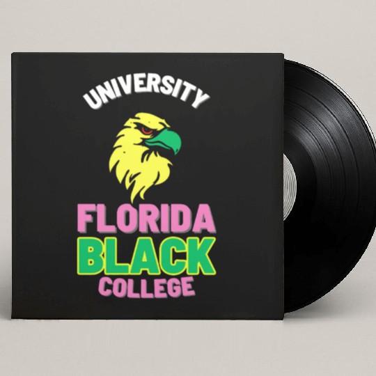 University Florida Black College (Night Eagles Ed) Custom Vinyl Record Sleeves