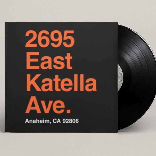 Anaheim Ducks Hockey Arena Custom Vinyl Record Sleeves