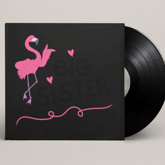 Big Sister Little Brother Matching Outfits Toddler Custom Vinyl Record Sleeves