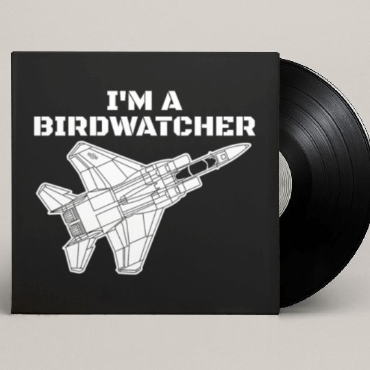 I'm A Bird Watcher F-15 Eagle Military Fighter F15 Custom Vinyl Record Sleeves