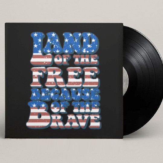 US Flag Land Of The Free Because Of The Brave Custom Vinyl Record Sleeves