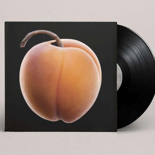 Apricot Realistic Custom Vinyl Record Sleeves