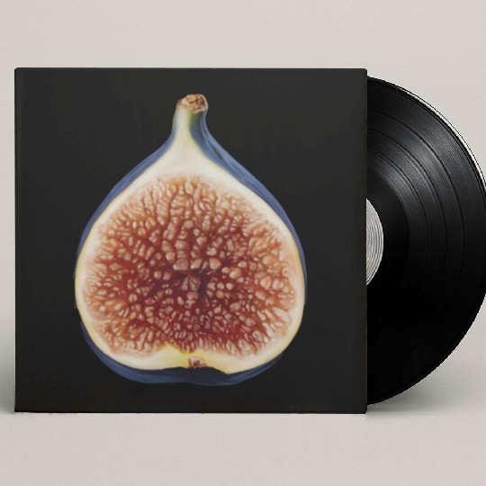 Fig Realistic Custom Vinyl Record Sleeves