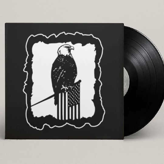 Framed Eagle On Flag Pole LIKE US ON FACEBOOK # Custom Vinyl Record Sleeves