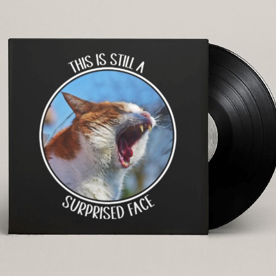 This is Still A Surprised Face Funny Cute Cat Meme Custom Vinyl Record Sleeves