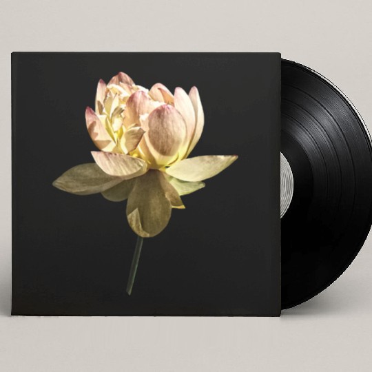 Delicate Pink Lotus Custom Vinyl Record Sleeves