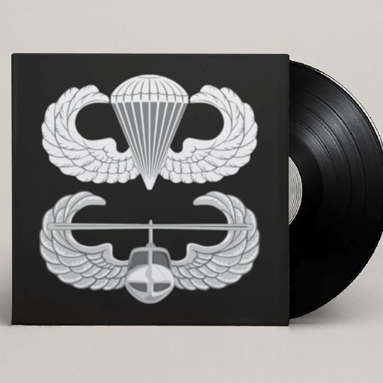 Airborne Air Assault Custom Vinyl Record Sleeves