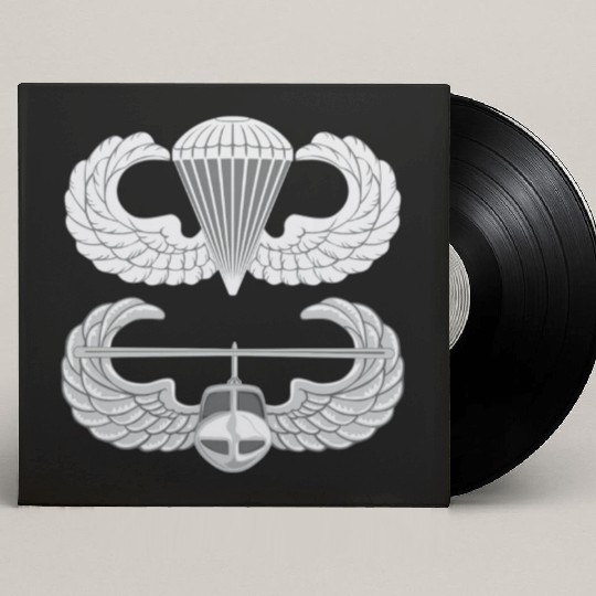 Airborne Air Assault Custom Vinyl Record Sleeves