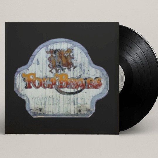 Four Bears Vintage Waterpark Michigan Custom Vinyl Record Sleeves