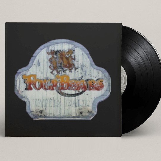 Four Bears Vintage Waterpark Michigan Custom Vinyl Record Sleeves
