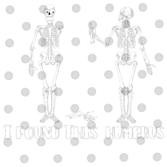 I found this humerus Digital Files