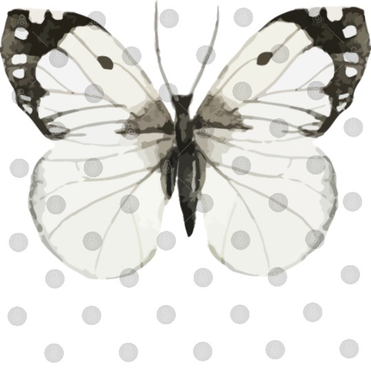 Butterfly Digital Files