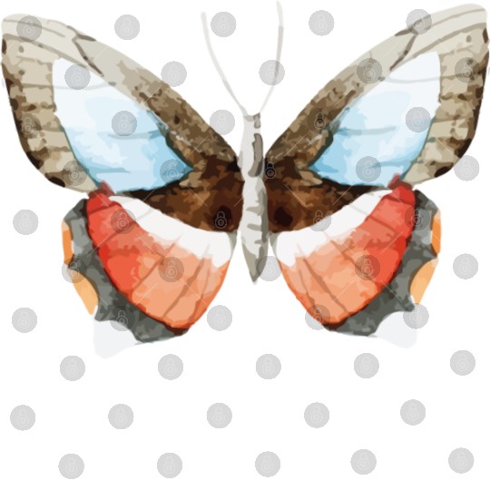 Butterfly Digital Files
