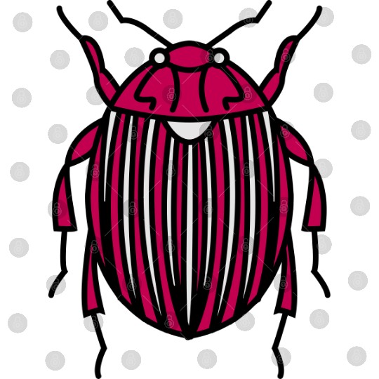 Potato bug Digital Files