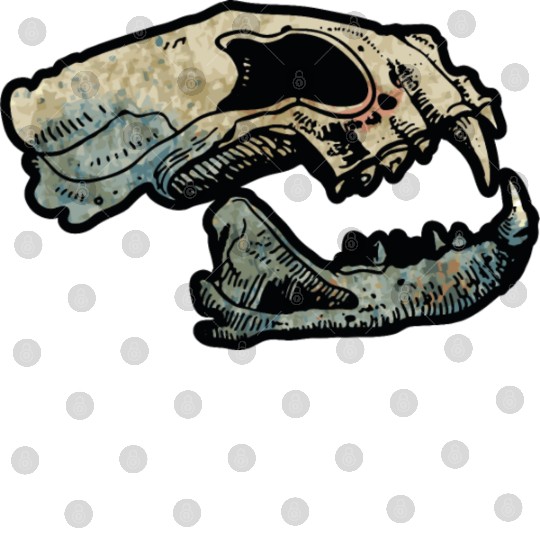 cat skull Digital Files