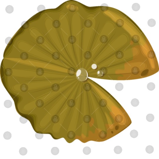 Lotus leaf Digital Files