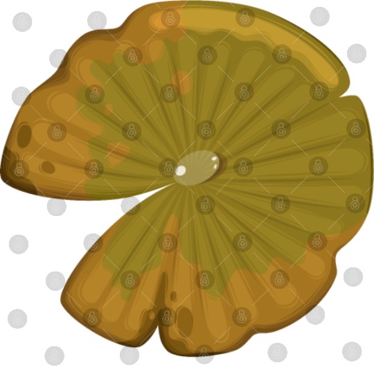 Lotus leaf Digital Files