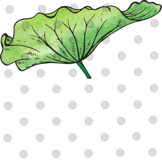 Lotus leaf Digital Files