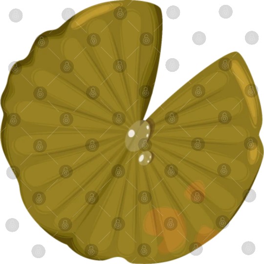 Lotus leaf Digital Files