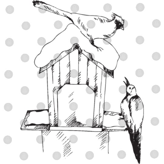 Bird house in winter Digital Files