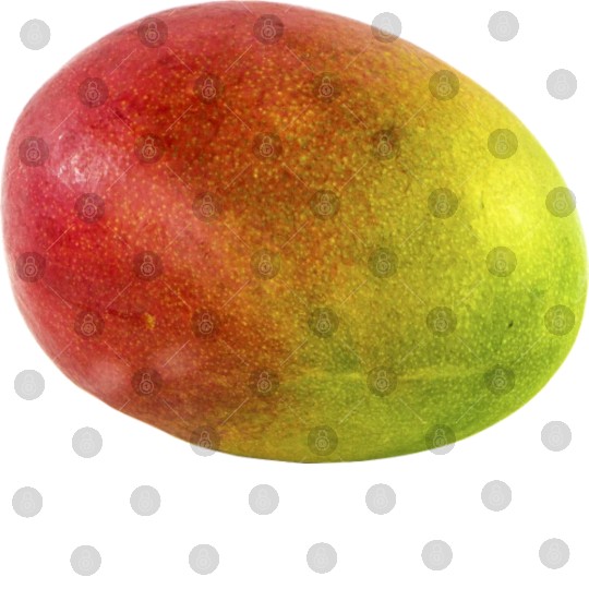 mango veggie gemuese fruits10 Digital Files