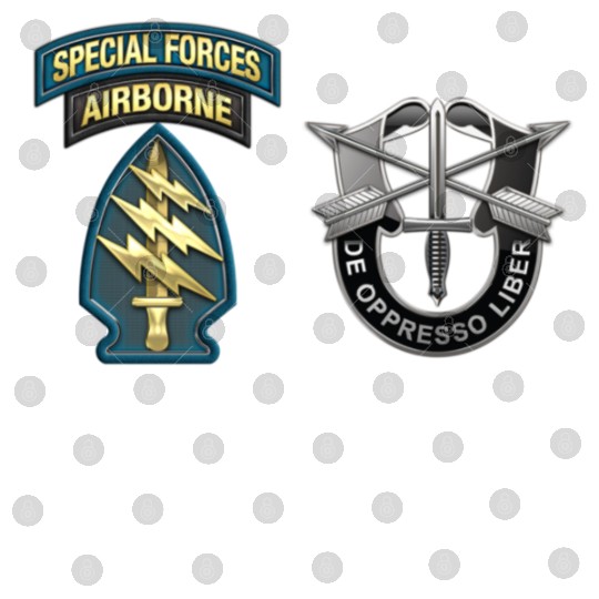 U S Army Special Forces Green Berets SSI DUI Digital Files