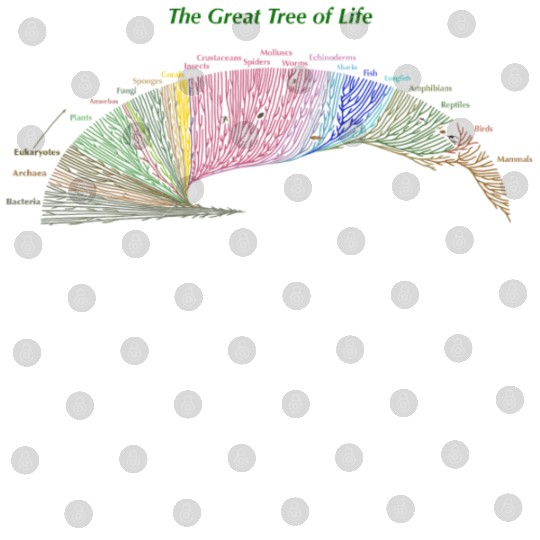 Evolution Cousin Tree of Life for Dark Garments Digital Files
