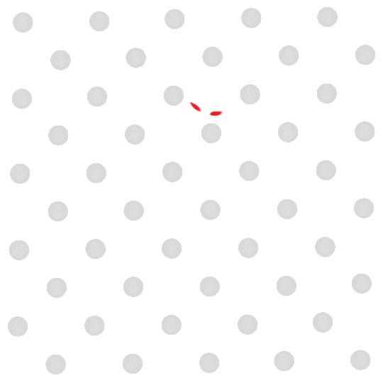 CHINESE DRAGON MMA Digital Files