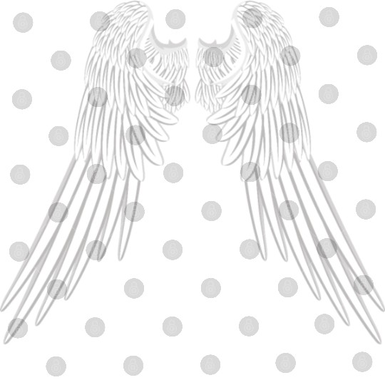 Angel Wings Digital Files