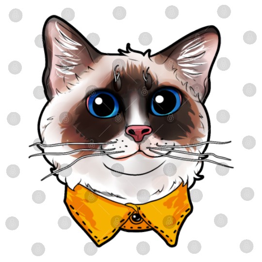 Ragdoll Cat Face Cats funny cute sweet Kitty gift Digital Files