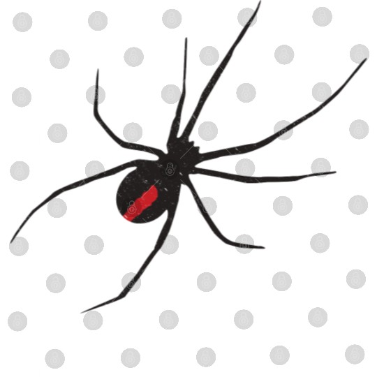 product Black Widow Spider Insect Lover Gifts Digital Files