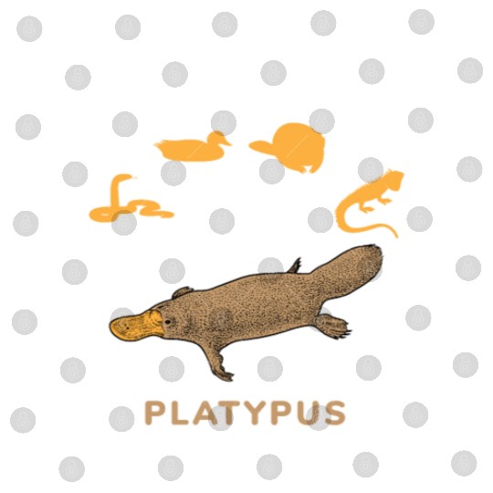Power Combined Platypus Platypus Platypus Mammal Digital Files