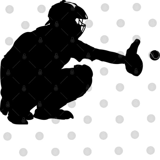 Baseball catcher waiting to catch a pitch Digital Files