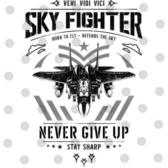 Fighter jet airplane pilot Digital Files