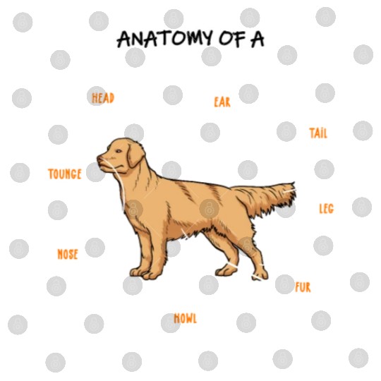 Anatomy Of A Golden Retriever Funny Dog Owner Gift Digital Files