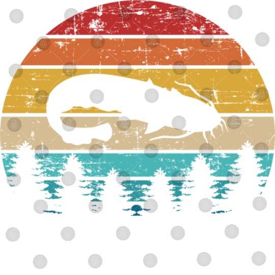 Catfish Digital Files