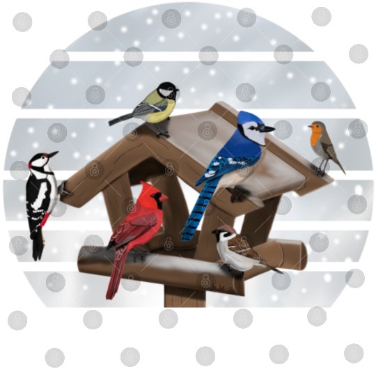 Birds Bird House Cardinal Blue Jay Robin Sparrow Digital Files