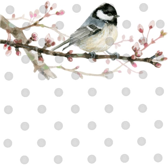 Swamp Tit on A Twig - Garden Birds In Spring Digital Files