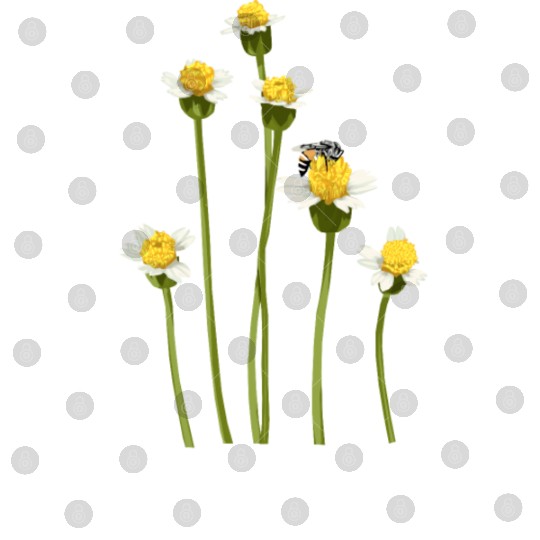 Bumble Bee Digital Files