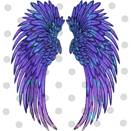 Angel Wings Eagle Wings Broken Wings Wild Wings On Digital Files