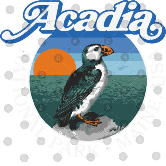 Retro Acadia National Park Vintage Maine Puffin Digital Files