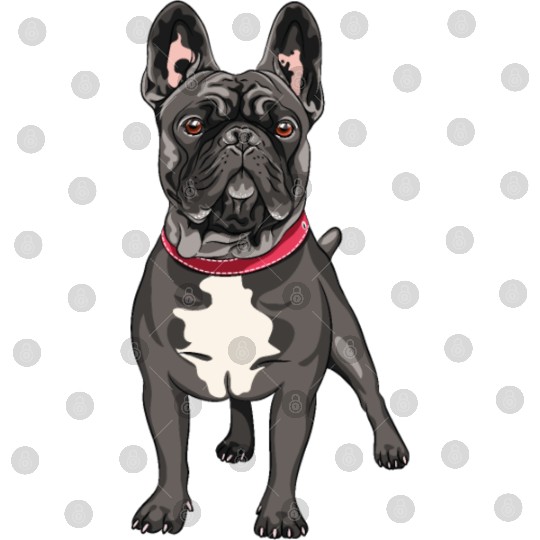Black French Bulldog Digital Files