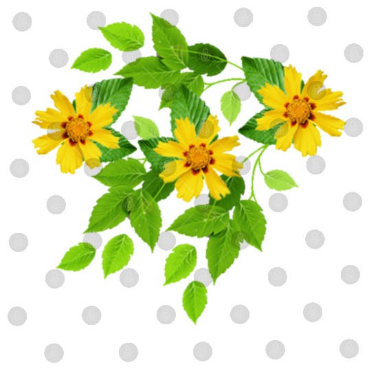 yellow flowers Digital Files