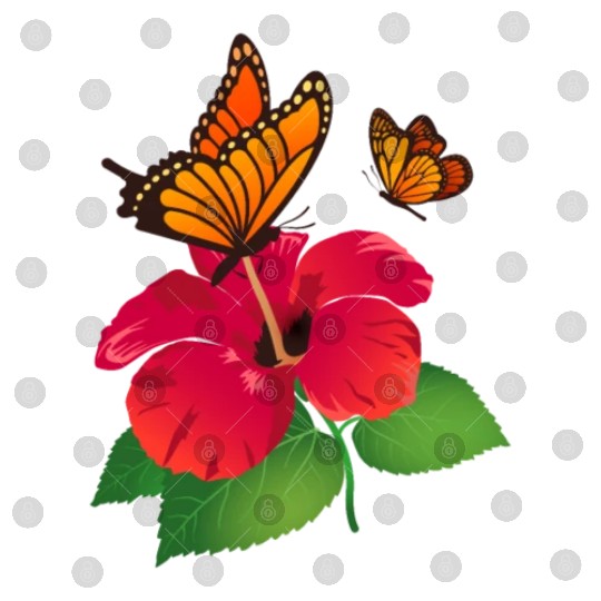 Hibiscus Flower and Monarch Butterfly Nature Digital Files