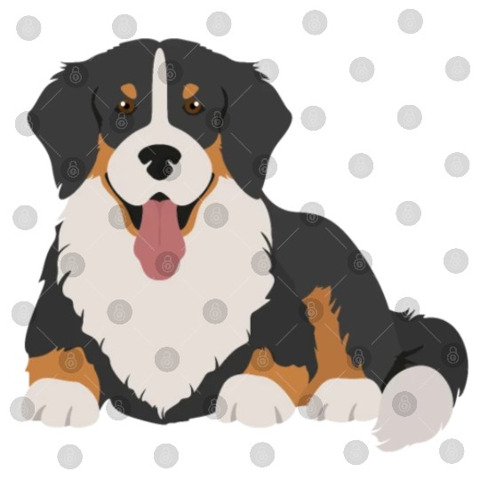 Bernese Mountain Dog Face Digital Files