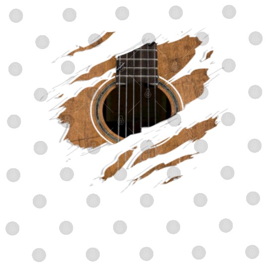 RIP Guitar Digital Files