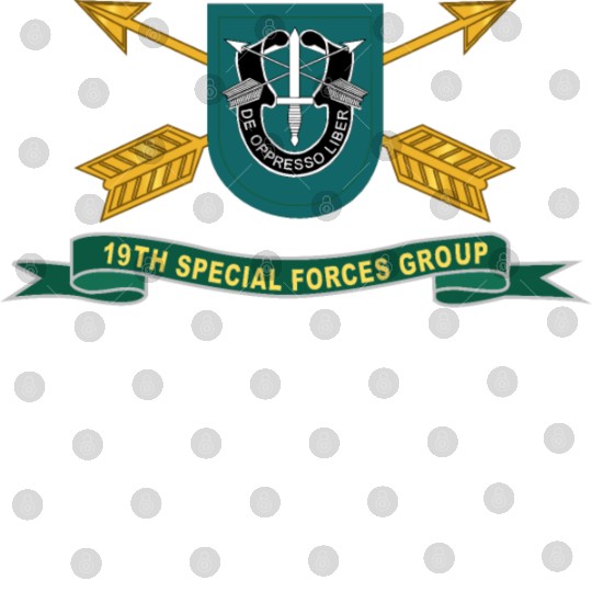 Army 19th Special Forces Group Flash w Br Ribbon Digital Files