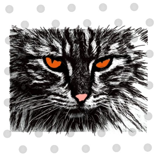 funny cat face Digital Files