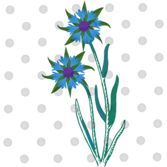 Blue Cornflowers - Floral Artwork With Spring Digital Files